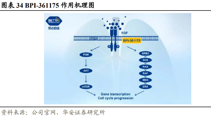 187亿元收购鼎尊龙app最新版本下载官网成肽源70%股权 东北制药拿到进入细胞治疗领域“直通票”